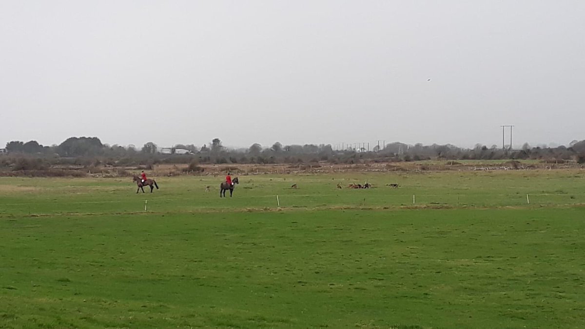 Connacht Hunt Saboteurs (our western group) were out sabbing the notoriously violent Galway Blazers this morning.

More info: facebook.com/23384839297537…

#foxhunting #bloodsports #HuntSabs