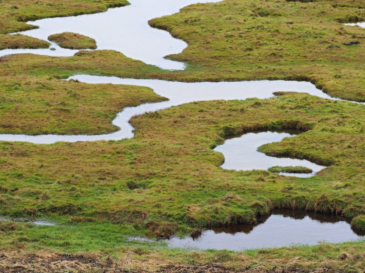 Natura 2000 Drenthe tweet media