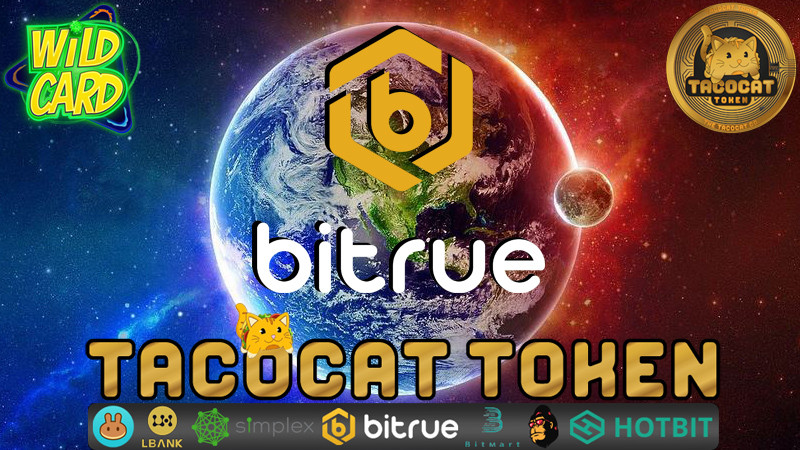 Laciatemicanta1's tweet photo. $TCT #wildcardgame @wildcardp2e . True hidden gem !! Bullish !! The secret of your success is determined by your daily agenda. Bullish!! #BlueChipTaco #Gem https://t.co/1MkrXlqzUe