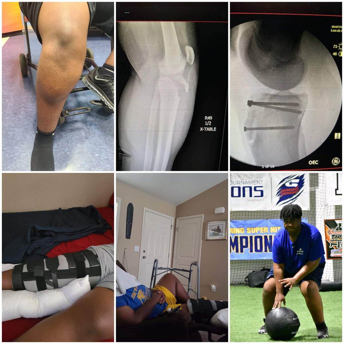 MinervaMinnieDendy tweet media