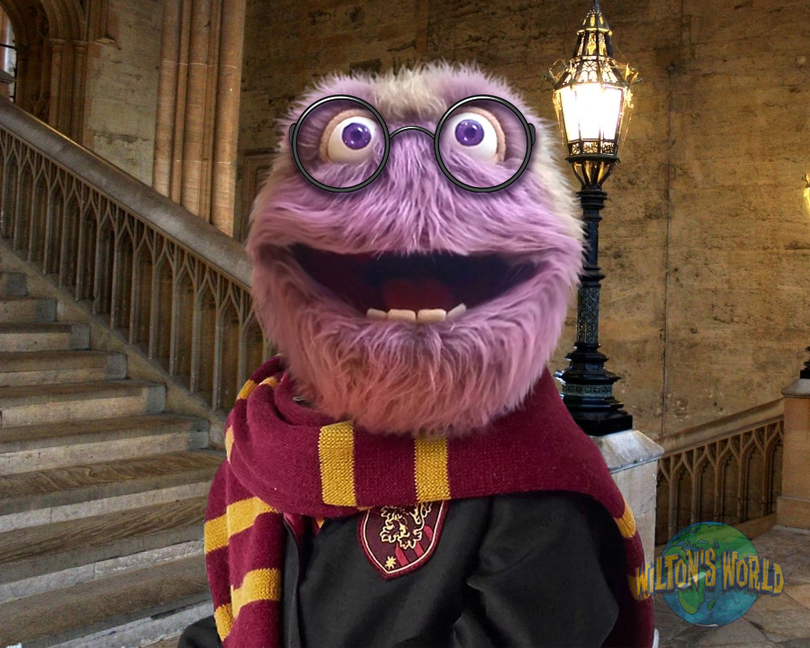 Wiltons_World's tweet photo. Gryffindor forever! Loved going back to Hogwarts!
#ReturnToHogwarts  #HarryPotter20thAnniversary https://t.co/D93ucLGYBI