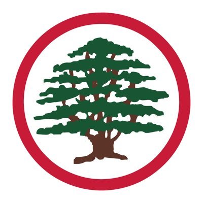 Giogeagea3 tweet media