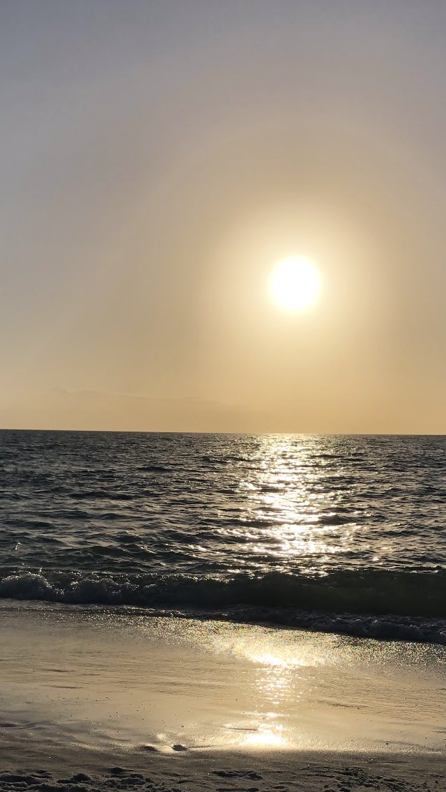 hossjdoh's tweet photo. Another awesome beach day here in SWFL!#newyearsday2022 https://t.co/lk06LSrASp