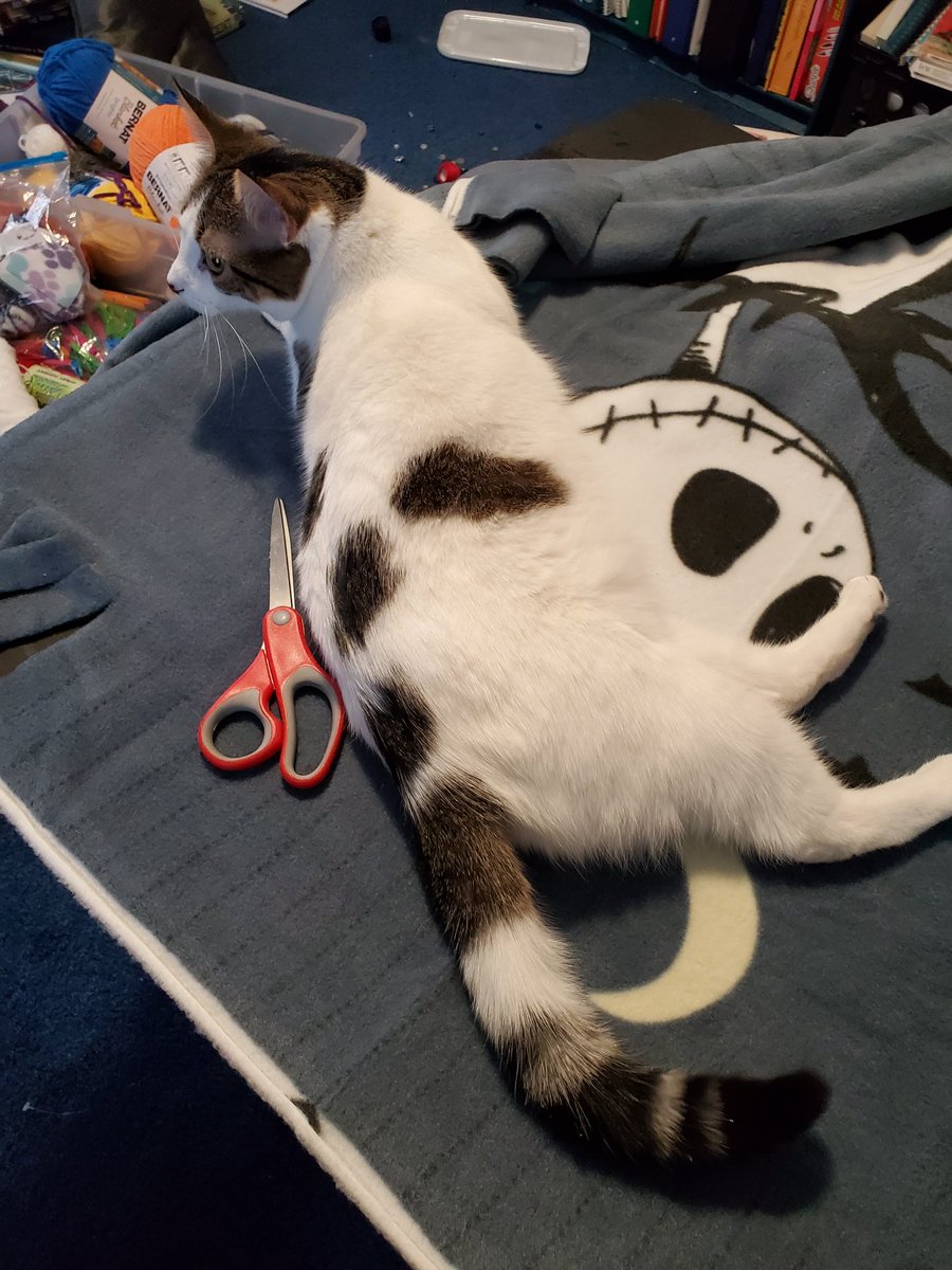 Crafting with Chaos!!!! Making baby's floor blanket for tummy time. Cenex keeps chasing my scissors!