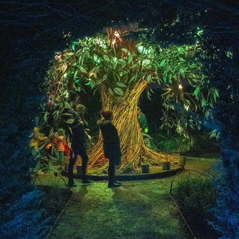 OperaMaestro's tweet photo. Magical evening at @wakehurst_kew this evening. Like stepping into Act 3 of Falstaff. ❤️ https://t.co/vjFZxhPJdw