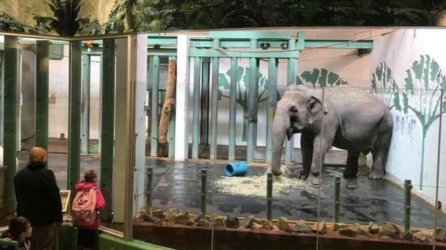 Edmonton Valley Zoo in Alberta, Canada: FREE LUCY!!! SEND HER TO A SANCTUARY, NOW!!!!! - Sign the Petition! chng.it/fSbPxkHV via <a href="/CdnChange/">Change.org Canada</a>