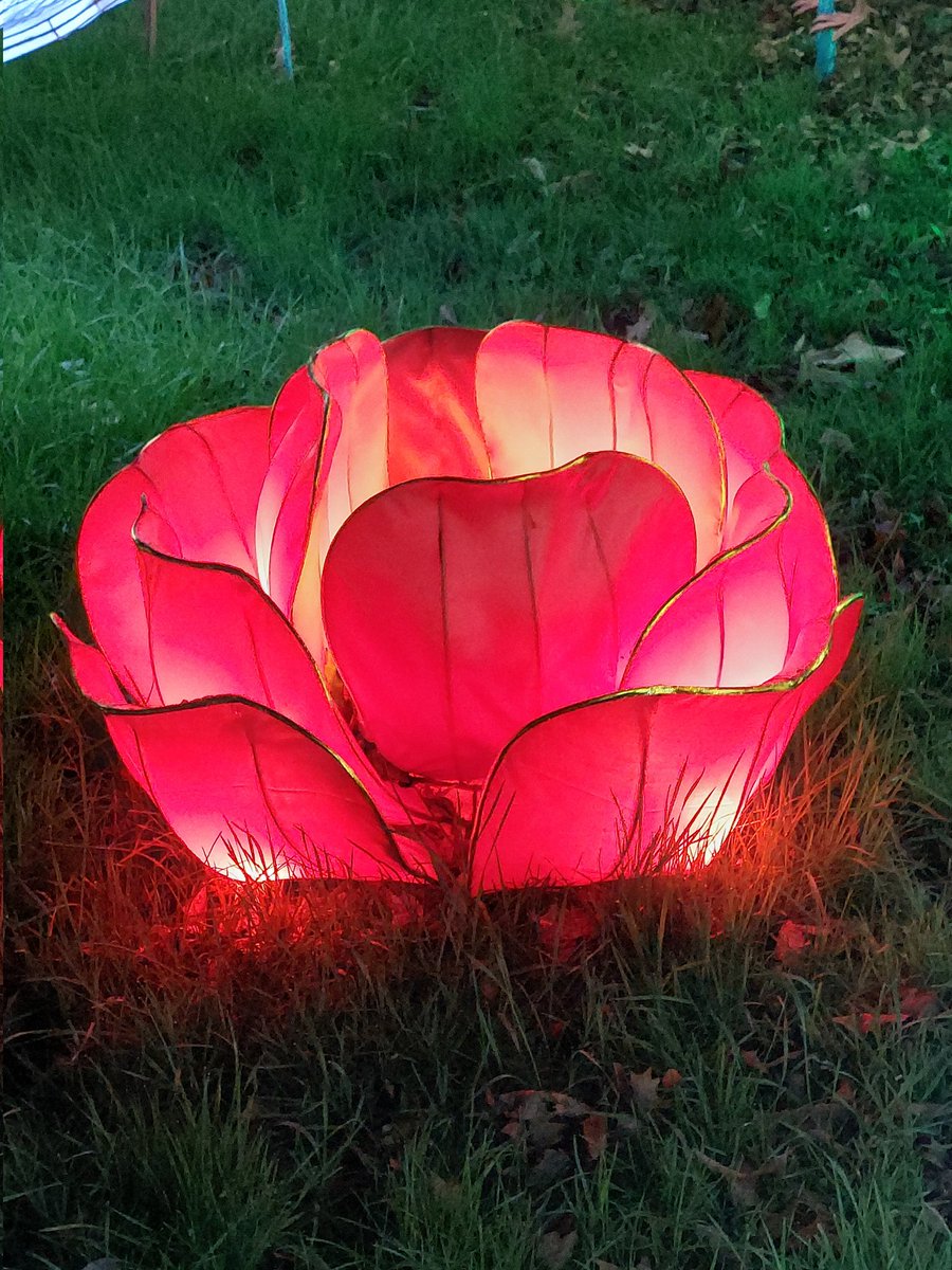 Belle année 2022 à  tous, je vous la souhaite pleine de magie... #HAPPYNEWYEAR2022