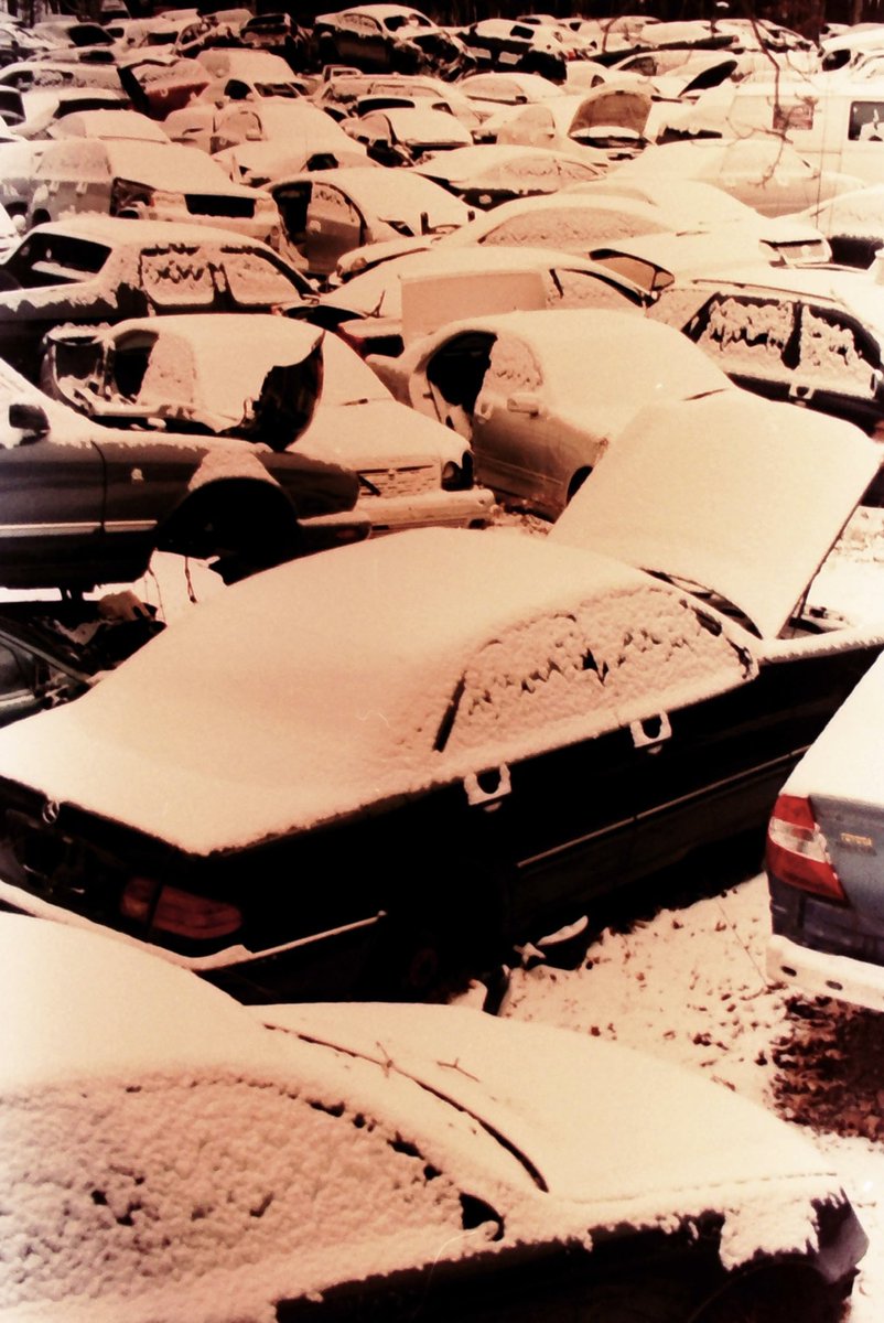 amberkinson's tweet image. Velvia100 cross-processed as C41, shot on Konica AutoreflexTC