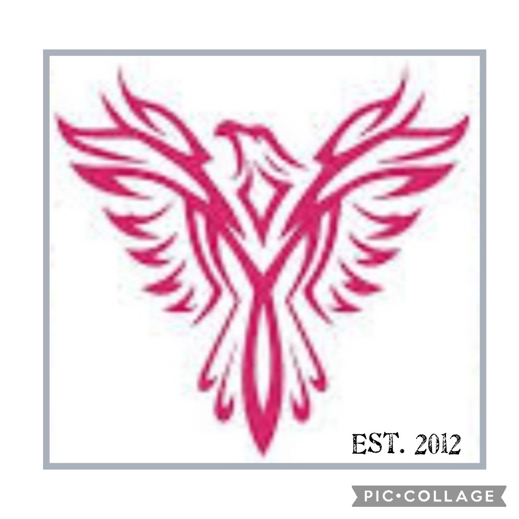 Est. 2012.

We started with 5 players, outside, with car headlights on a court with barely there lines.
2013 we had enough players to fund an indoor court (with lights &amp; court lines) and entered <a href="/EssexMet/">Essex Met Netball</a> League.

2022, 11 Teams, over 100 players.
#PFNCFamily #PFNetball #netball