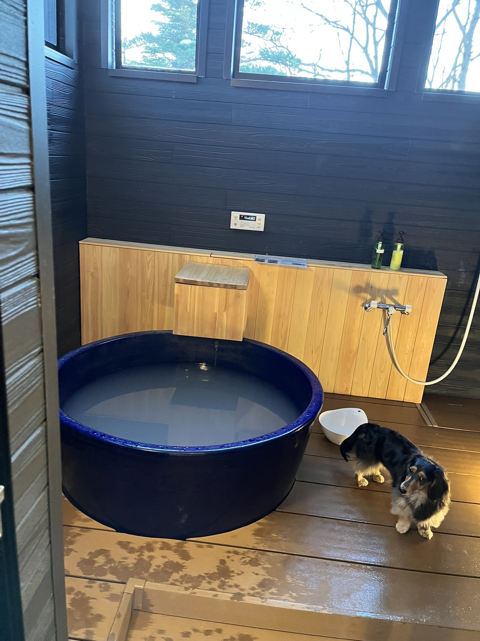 しんいちさん 仕事に本気中 1月2日 那須 より 犬も一緒に旅行中 那須ハイランドパーク Towaピュアコテージ 温泉 露天風呂 正月 T Co Tu2uqcz6td Twitter