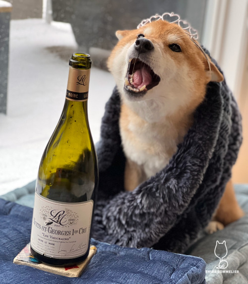 ShibaSommelier's tweet photo. 2003 Lucien Le Moine “Les Vaucrains” Nuits-St-Georges Premier Cru: #4bones! Happy New Year!
Raspberries, blackberries, forest berries, fresh leather, tarragon and fennel notes on the nose. Loads of red berries on the palate - raspberries, violets, with nice lingering acidity. https://t.co/pIPINSANW8