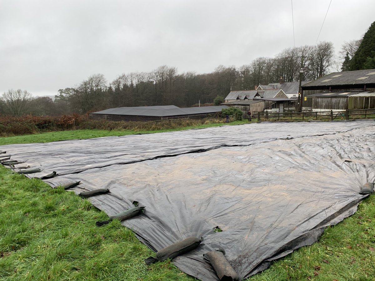 pdm30bmot's tweet photo. Day 3 on the farm - early preparations for veg beds https://t.co/mVlN20a4g8
