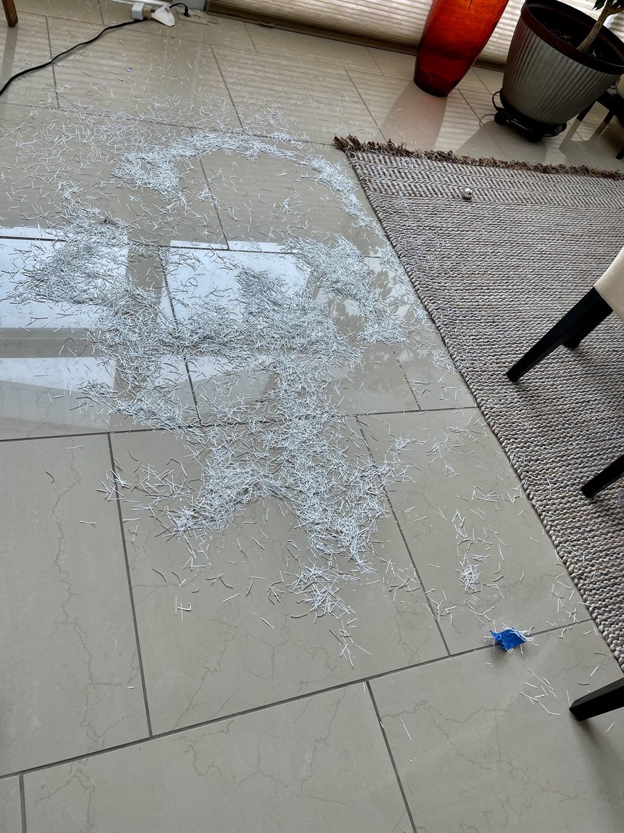 GlockenDreams's tweet image. Farnsworth hurt his back so we helped take down his Xmas decorations. With its last breath, his long-serving Christmas tree shat itself all the way to the trash can.