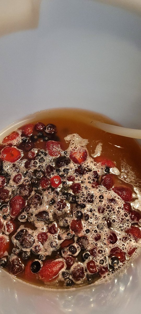 FinnFreyrson's tweet photo. Just doing what I love! 2 batches of mead racked to the secondary. Started w/traditional meads &amp; now the Magic happens. Boysenberry w/red pepper and oak &amp; a cherry blend! #Mead #Homebrewer #MidgardBrewing #WintersKiss #TheDedication #LineageTheSeries #SilvermoonProductions https://t.co/OQlneteYSy