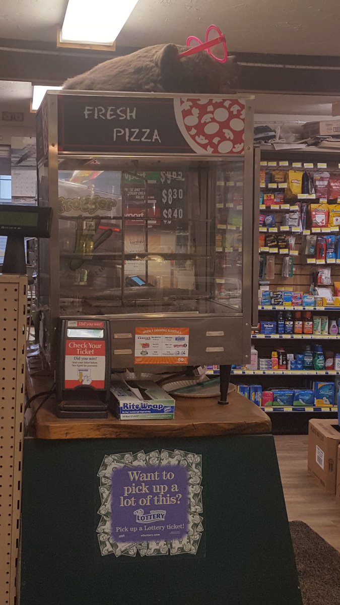 vagabondway's tweet photo. Started the New Year with a trip to small general store for milk and eggs, because, bear heads with pink sunglasses on top of pizza warmers should always exist. #waitsfield #shopsmall #vt #ilovevt #buylocal https://t.co/97NU8D7K5k