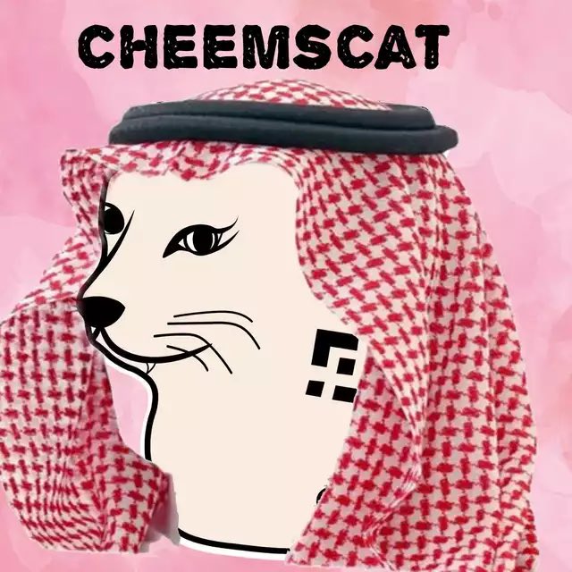 CHEEMS$CAT tweet media