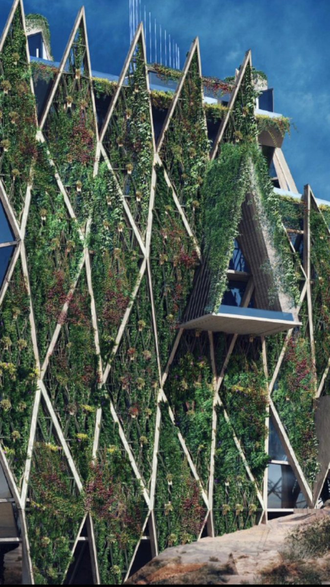 Mitchell Joachim tweet media