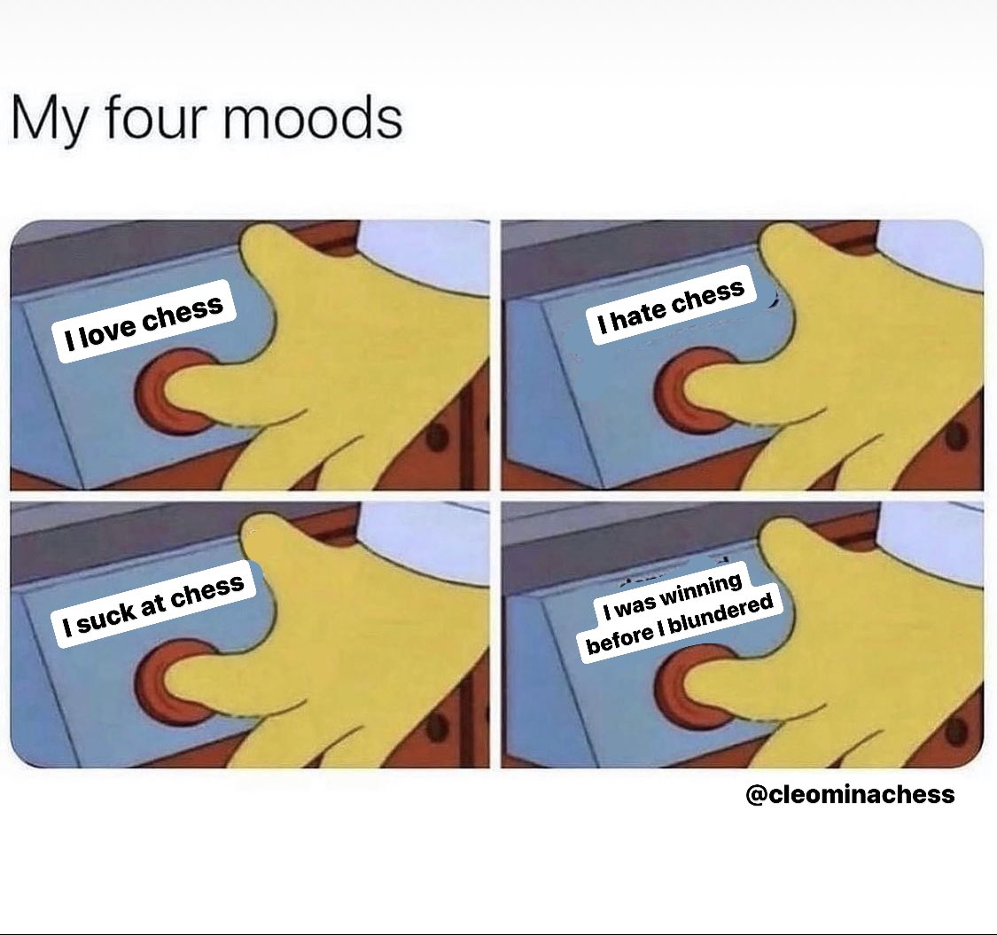 CleominaChess's tweet photo. It's true 😂🤷‍♀️

#chess https://t.co/m0y5cIRZVN