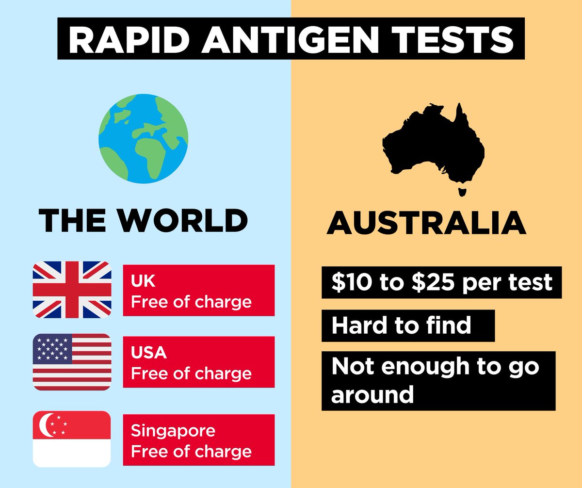 Democracy Squirrel tweet media