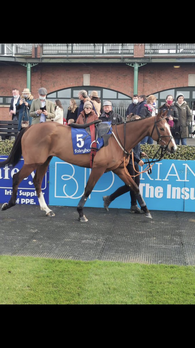 GoldmanRacing's tweet photo. A good first run for Annie today and we are delighted to be back racing .. Thanks to @luke_dempsey for the ride today.. @gelliott_racing https://t.co/WICJFb2uU0