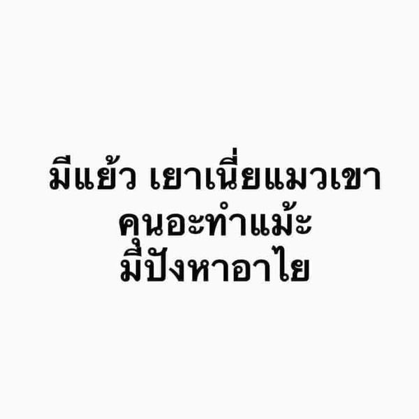เตงชิปมินโน่ไหมคะ? tweet media