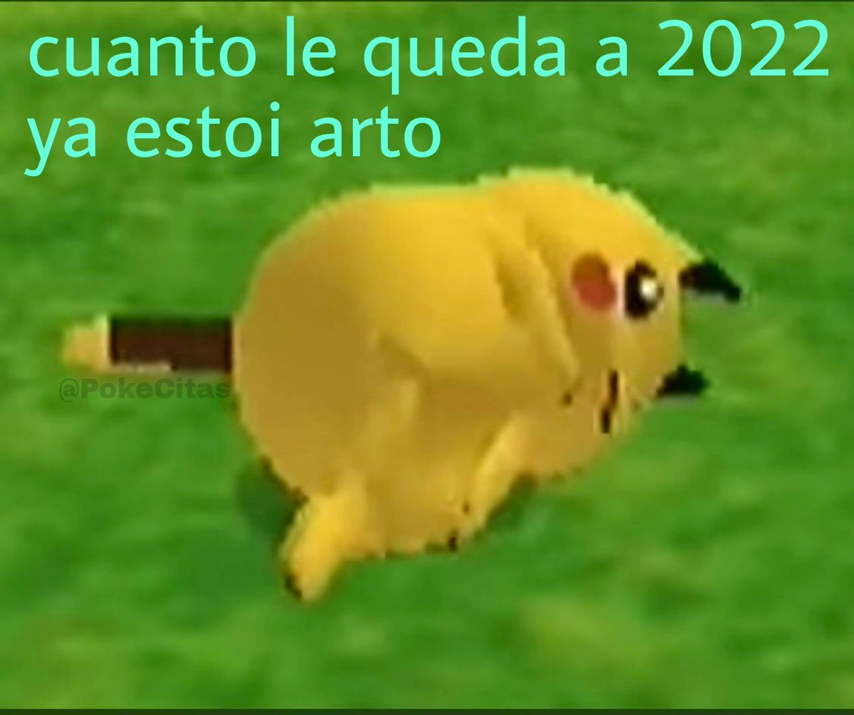 Memes Pokémon tweet media
