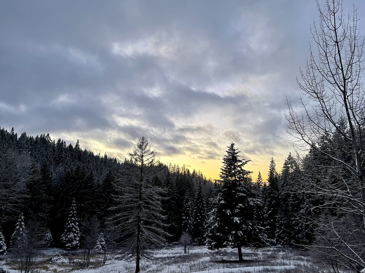 Jess Walton tweet media