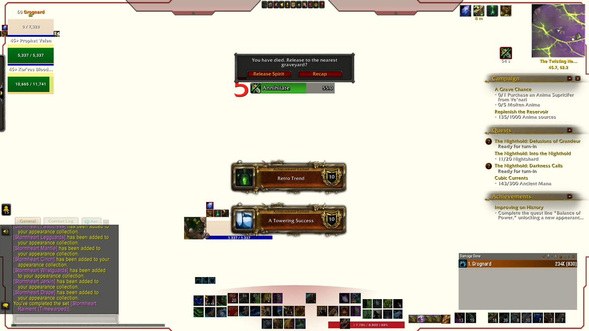 Beat the #MageTower on my 400th attempt. To all my fellow bears out there; if I can do it, so can you. Go get it 👑 #worldofwarcraft #beardruid