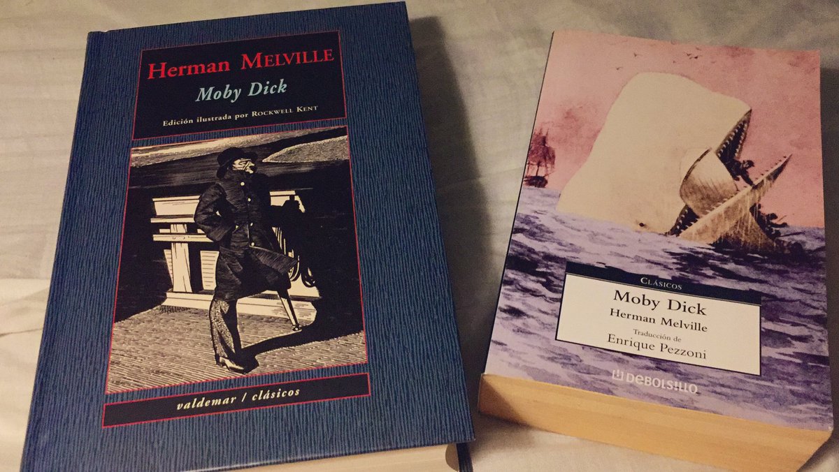 Godsebas's tweet image. #MobyDick2022 
Subido a la #Melvilleta