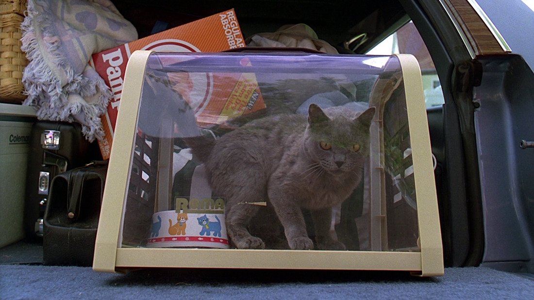 apostIIe's tweet image. pet sematary (1989)