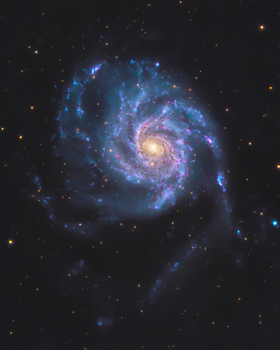 Meet the Pinwheel Galaxy in Ursa Major. This is what over one trillion stars looks like!