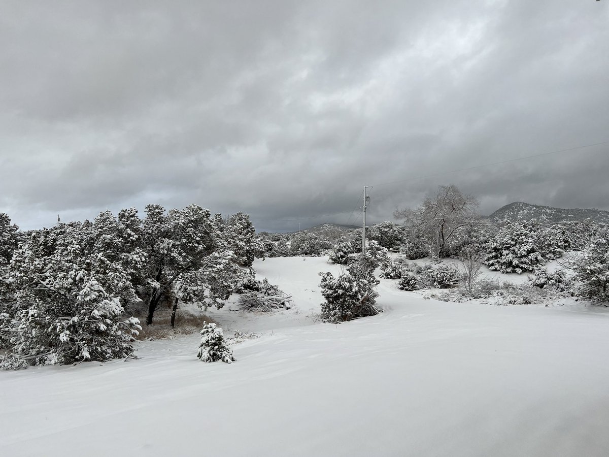 MooneyActs's tweet image. Happy New Year! My first tweet. Sweet pic of new snow from storm. #snowstorm #snowfall #snow #colleenmooneyactor #cloudscape
