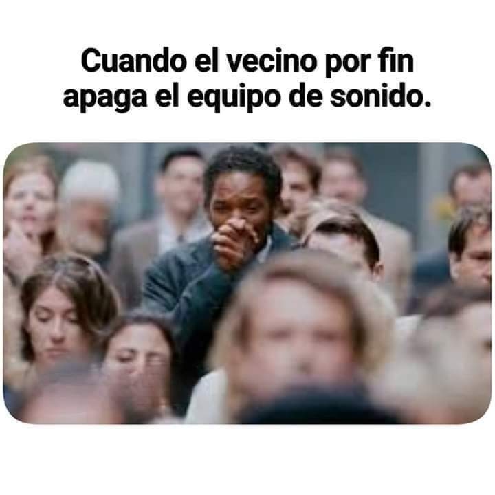 El gato de Schrödinger tweet media