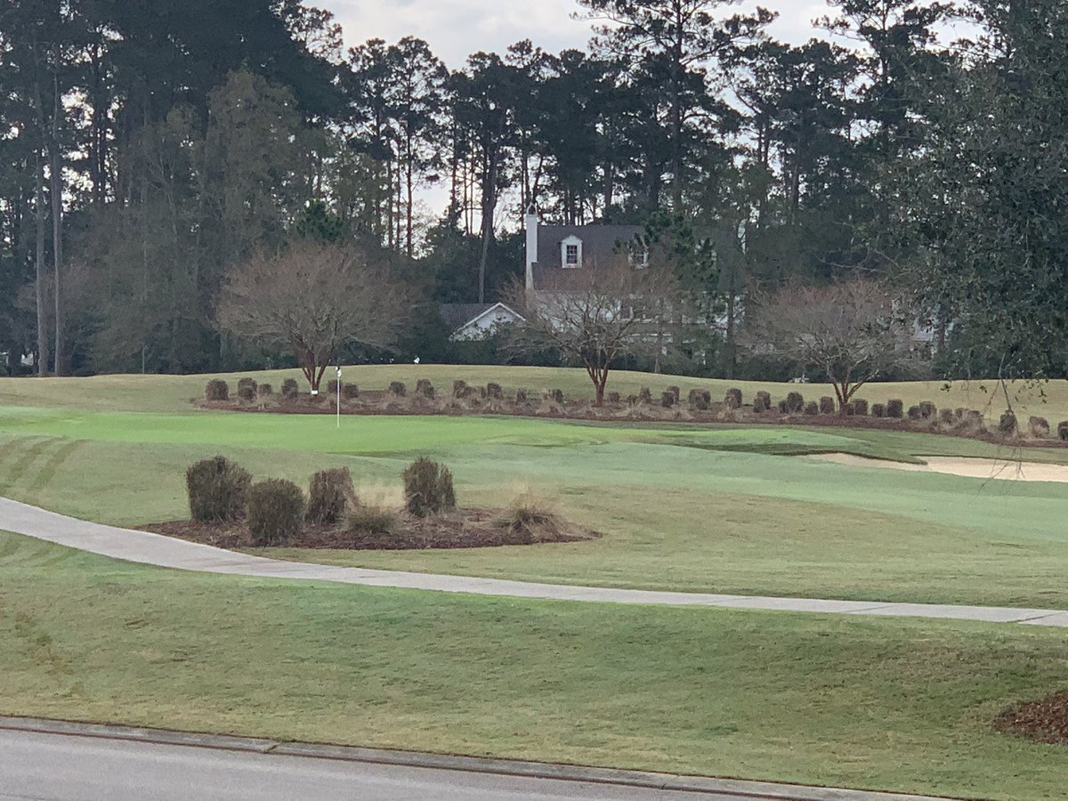 Tchefunctaag's tweet photo. Happy new year from the maintenance crew. Color is point for New Year’s Day#tchefunctacc https://t.co/O0aNKb3vlw