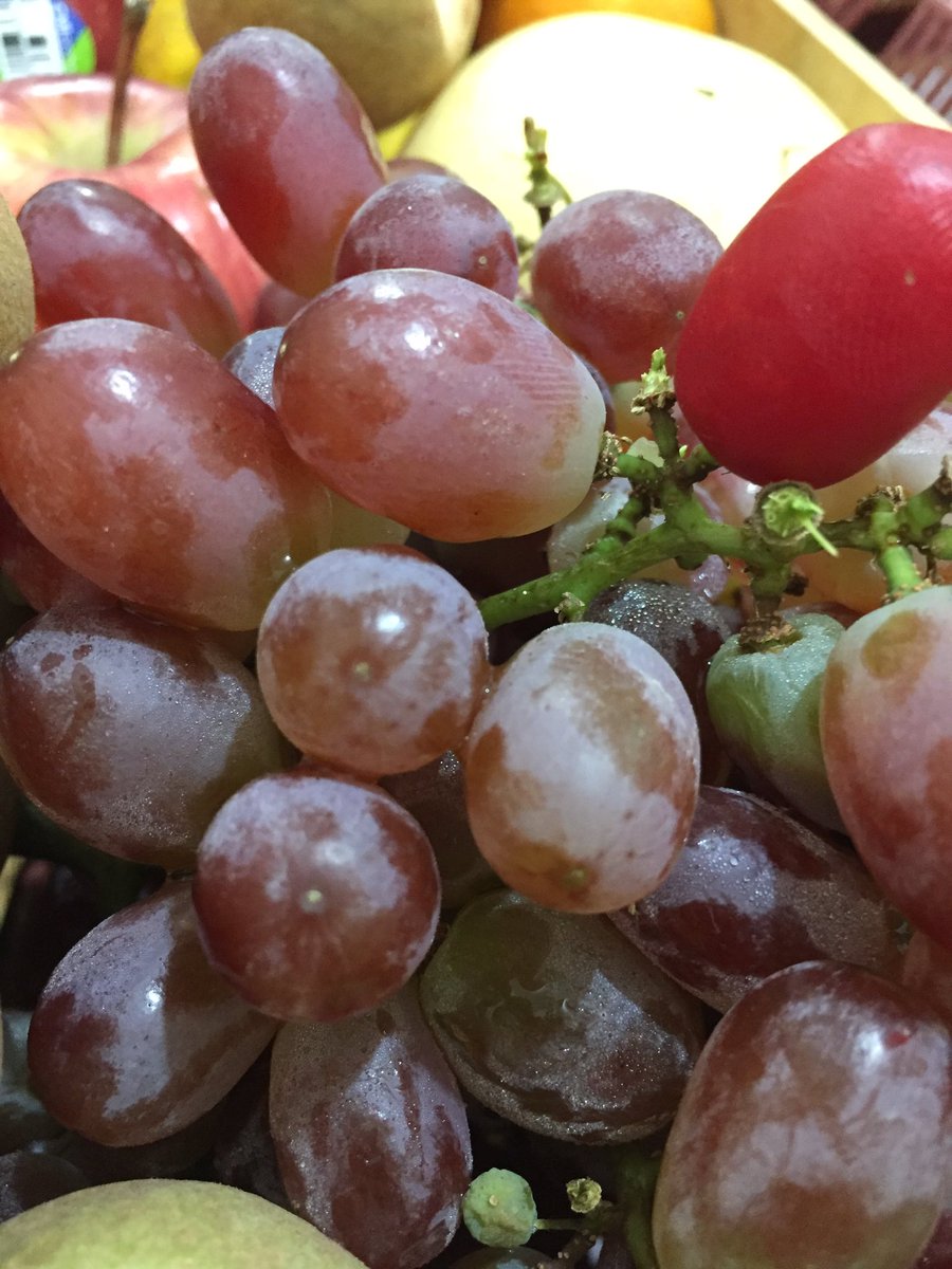 MariaElenaMagno's tweet image. Hanging a bunch of grapes at the front door as a tradition in Philippine homes 🇵🇭 relate? #NewYear2022 #pandemic2022