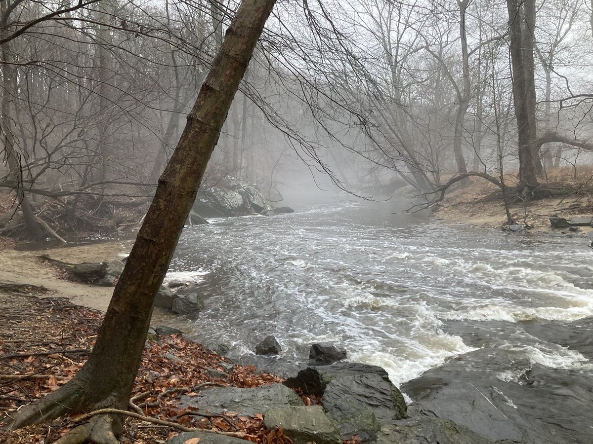 genevcoffey's tweet photo. Just documented my first ‘22 run in my go-to log. This year’s cover is great and remarkable. Did my run in #RockCreekPark. The clouds and mist made for a beautiful scene. @runnerstips #Running #DCRunning https://t.co/Cfgc7J68yB
