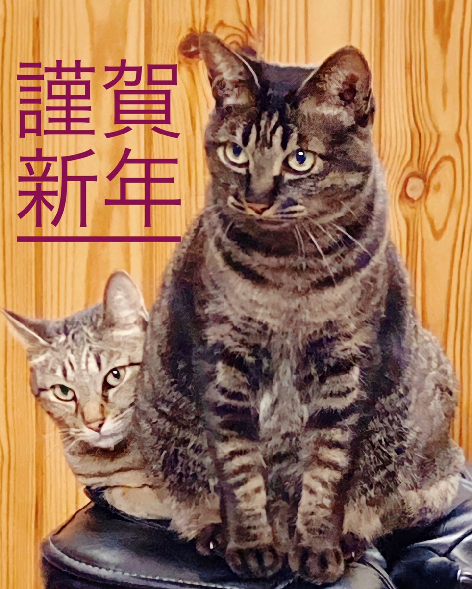 mizzyrush's tweet photo. 新年明けましておめでとうございます。
2022年が皆さまにとって明るく希望に溢れる1年となりますように。
本年もどうぞよろしくお願いいたします。🎍🐯🎍 https://t.co/jm7CpViUEB