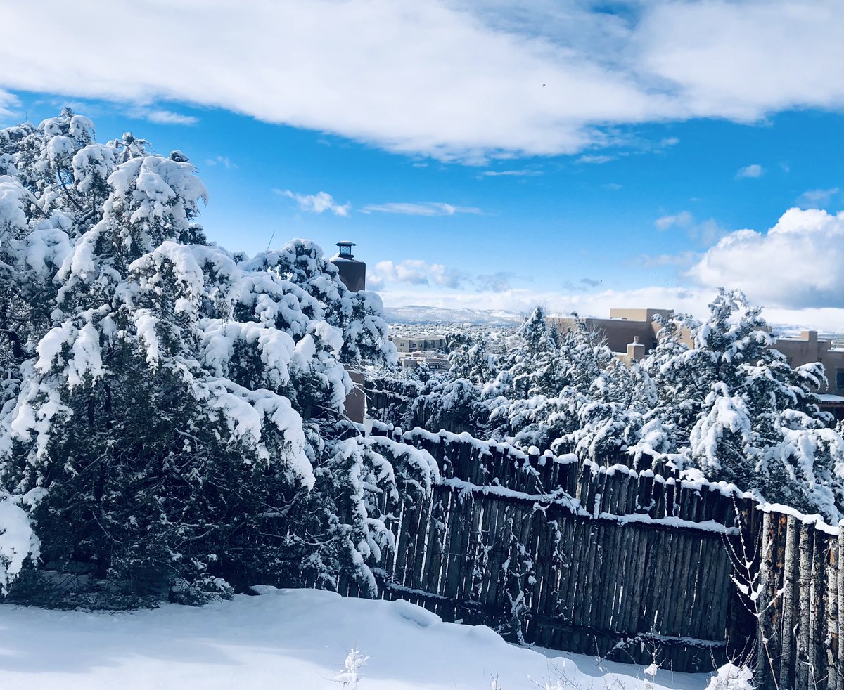 Trisha Montague tweet media