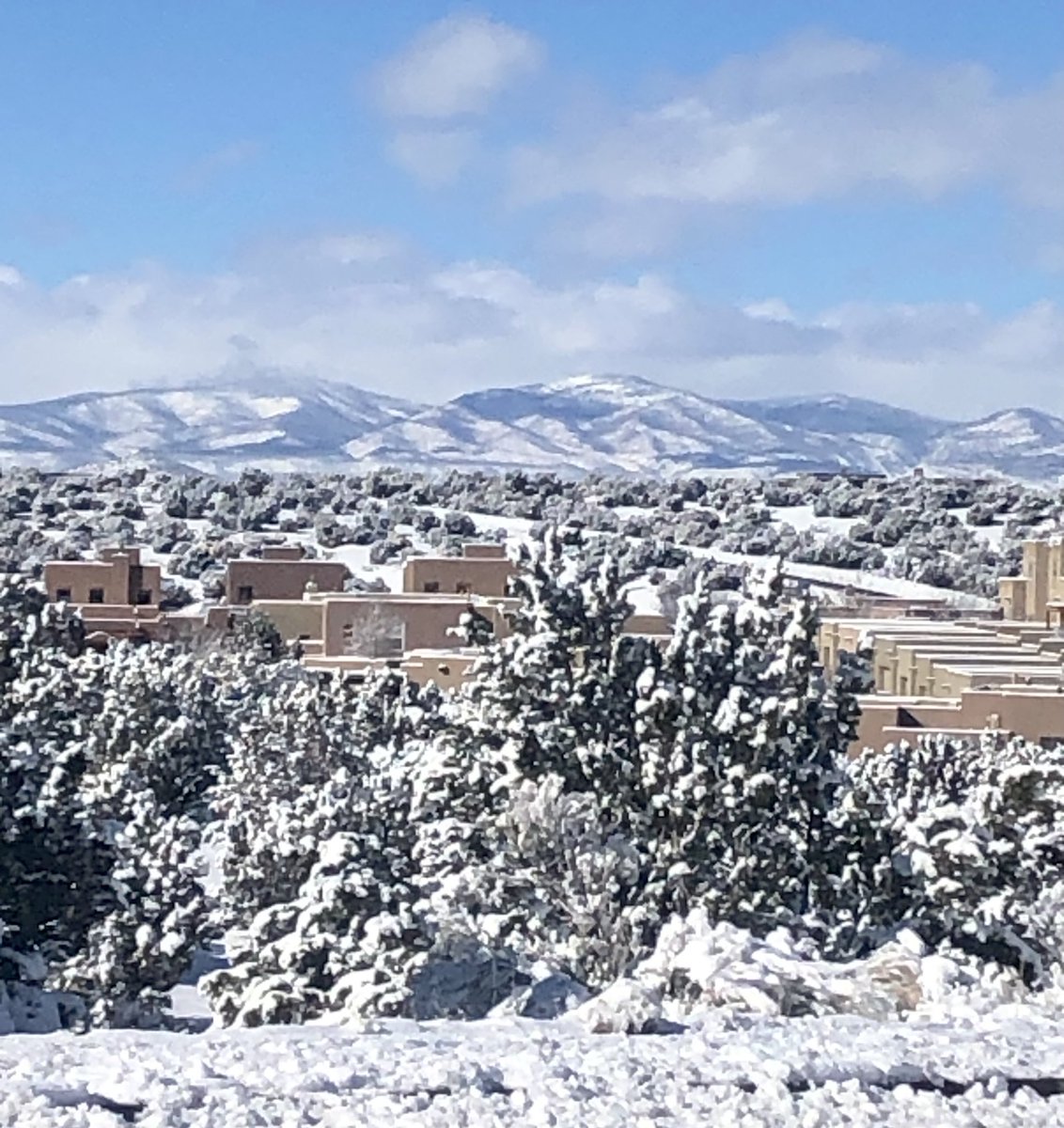 Trisha Montague tweet media