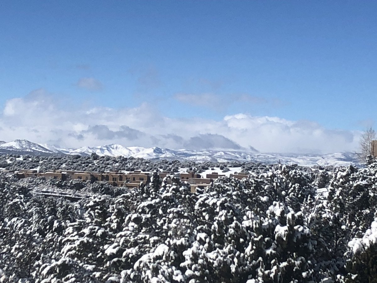 Trisha Montague tweet media