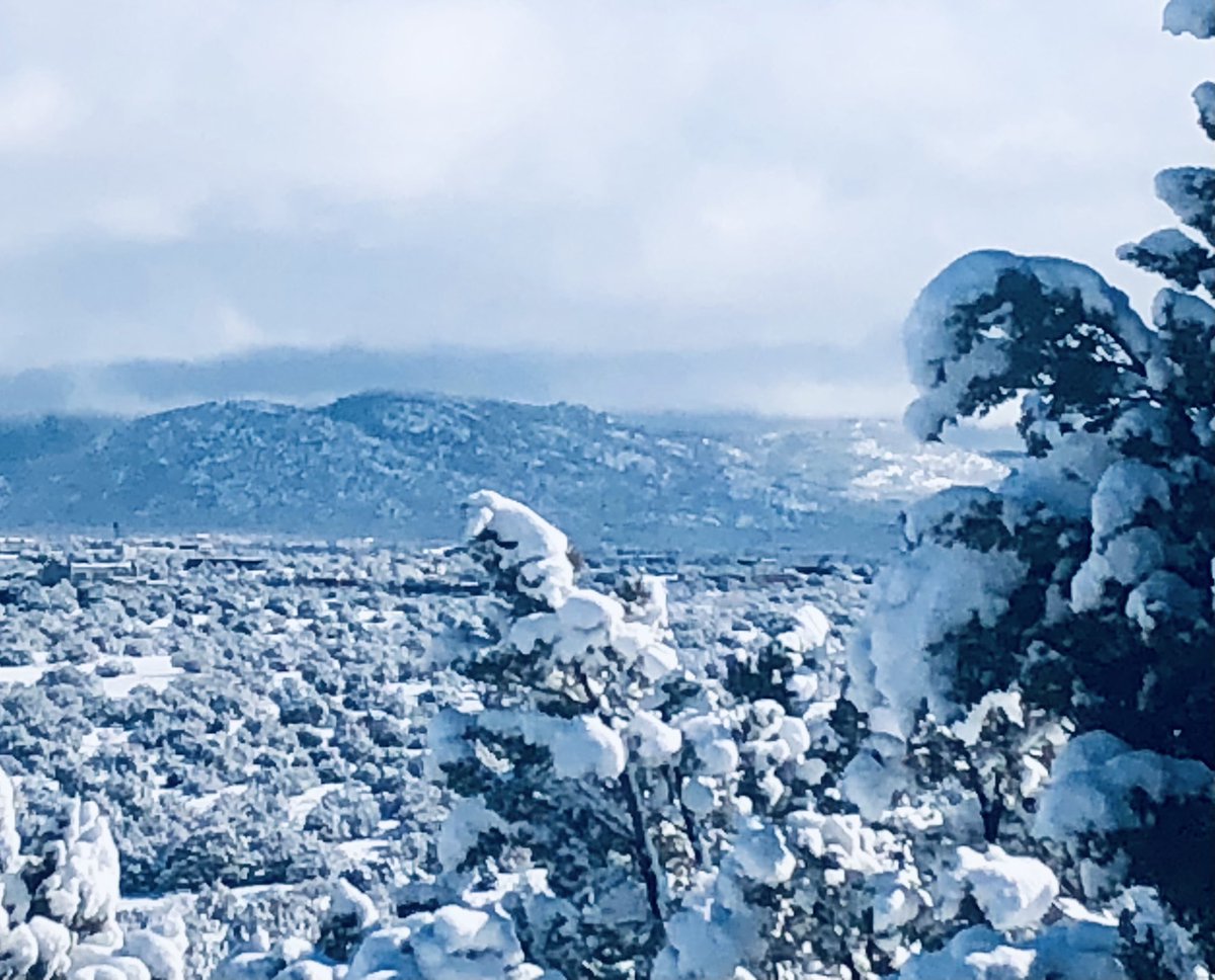 Trisha Montague tweet media