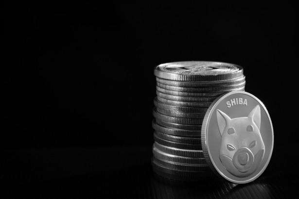bitcoinagile's tweet photo. Shiba Inu Launches DAO to Hand Power to the Community #Diamante #Blockchain #DiamCircle https://t.co/9IhN06phtZ https://t.co/MDcgnDYVHV