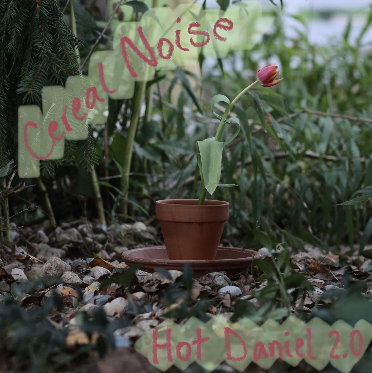 Hot Daniel 2.0 go check it on Spotify or whatever you fw!!!