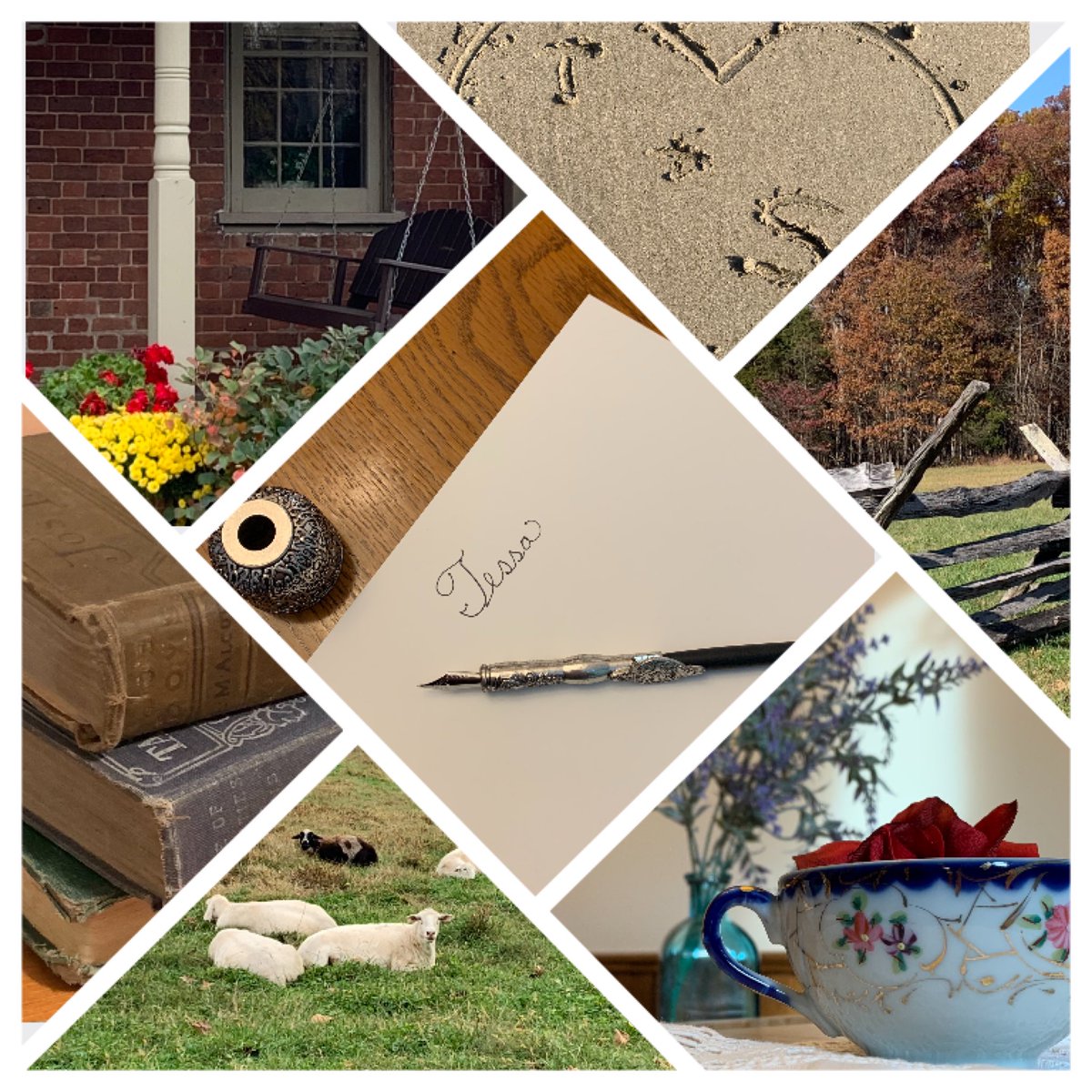 CarterTraci's tweet image. Story fun with new collage app. #amwriting #ToSignHerOwnName