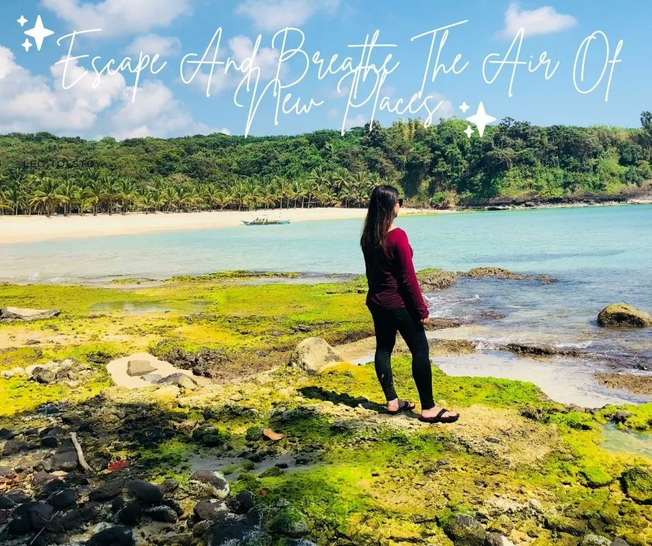 ejr_693's tweet photo. Page 2 of 365
" Escape And Breathe The Air Of New Places"

#travel #travelphotography #Philippines #nature #Throwback #Island https://t.co/6qOTqWOsfM