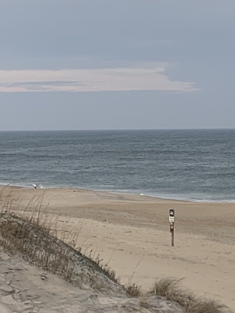 PippyPipes's tweet image. 2022 New Year’s Day on the beach. Went from sunny, warm 72+,mild winds to 60 degrees, cloudy, windy with fog rolling in. Still a grand view. Wishing all my friends and family a safe &amp;amp; healthy New Year. 
#StartingOffRight
#FirstNewYearBeachDay
#FirstSunset
#GodsBlessings