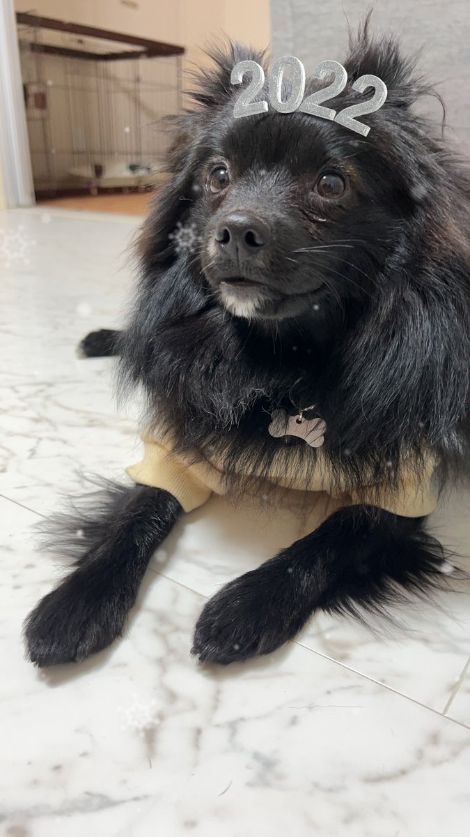 ret0honey's tweet photo. コナンお���ちいろんなの��ってて楽しかった(*´∀`)♪ https://t.co/IH1FbaPOmk