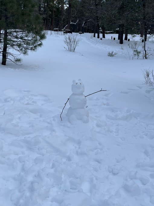 SOMEONE MADE A CAT SNOWMAN HELLO??? 🥺🥺🥺🥺 https://t.co/0WdlOFk6YT<a href="/tag/sellingcontent"class="tags"><span>#sellingcontent</span></a><a href="/tag/nsfwtwt"class="tags"><span>#nsfwtwt</span></a>