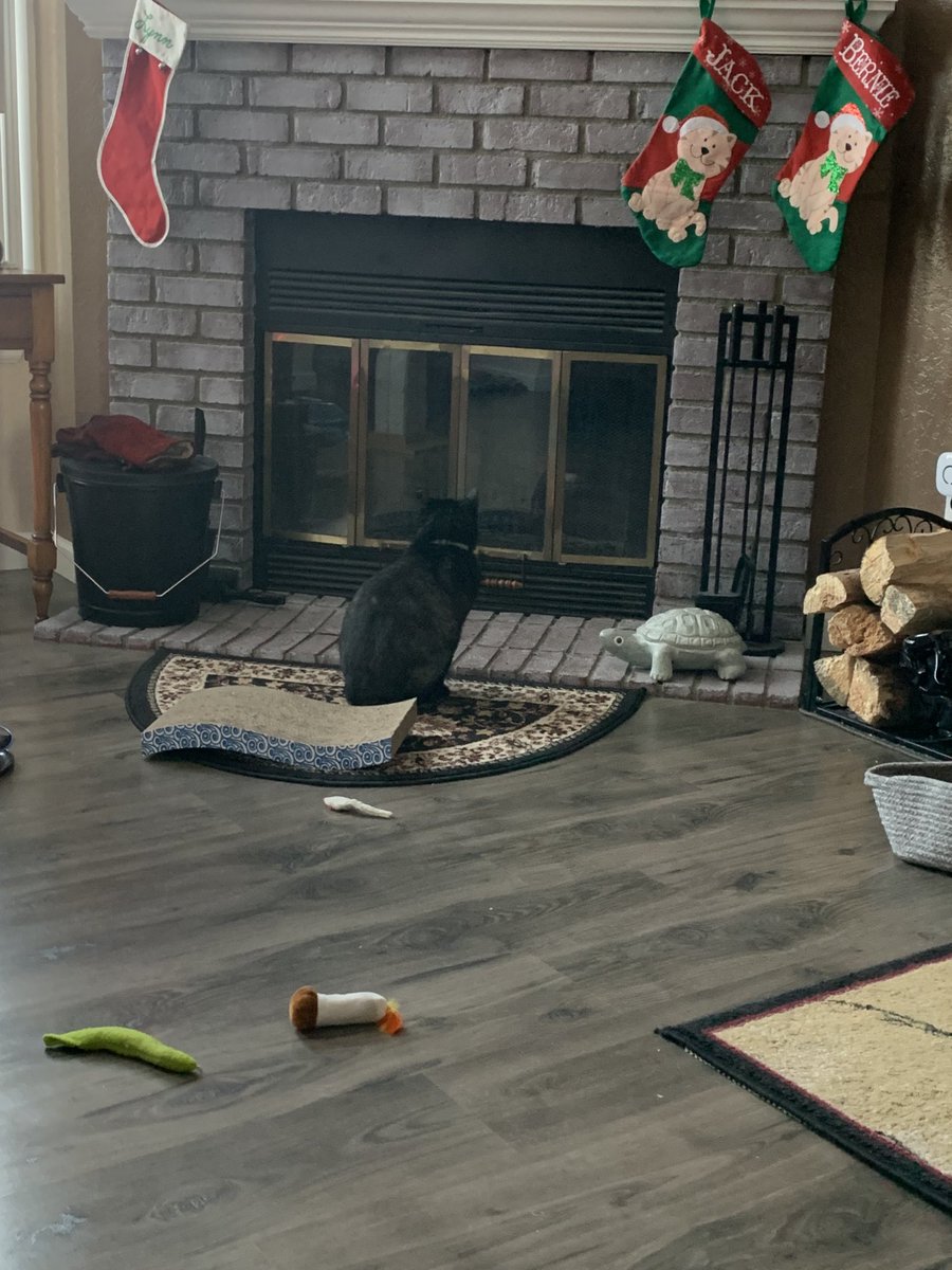 lynnreeh's tweet photo. Come ON Mom! Let’s get this fire started! Another day #InQuarantine https://t.co/USa43ZIFYB