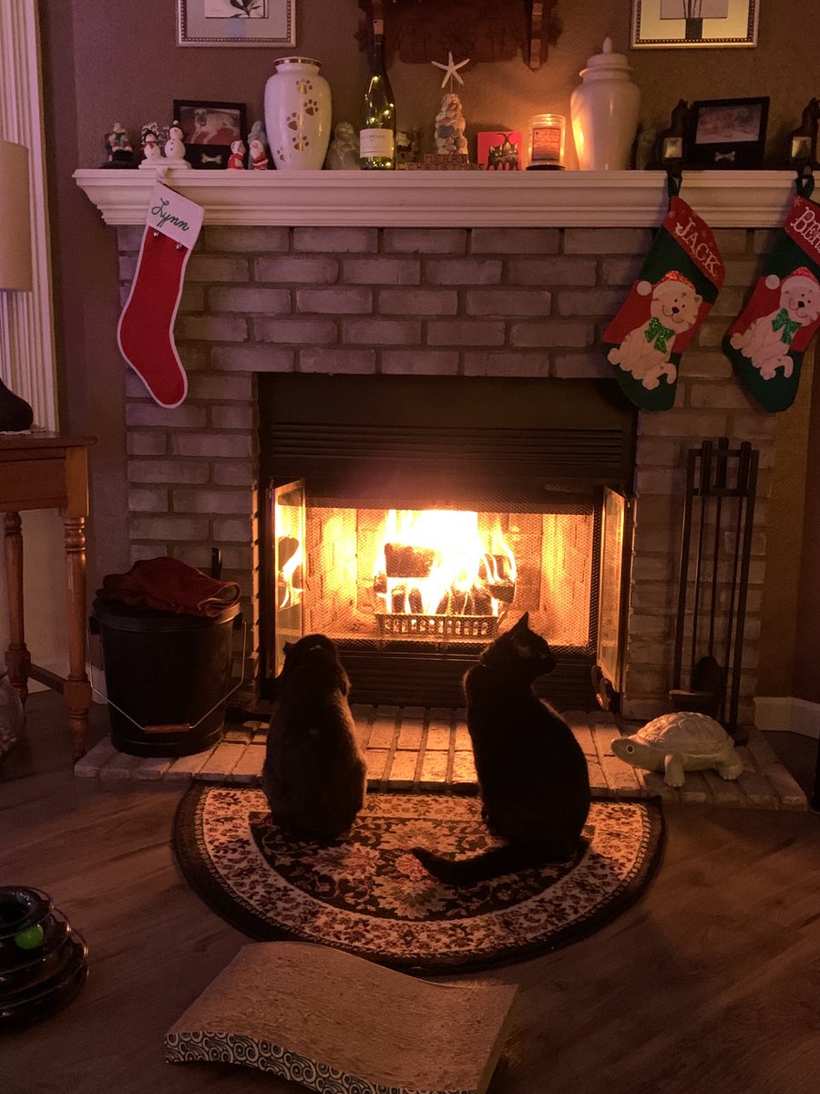 lynnreeh's tweet photo. Come ON Mom! Let’s get this fire started! Another day #InQuarantine https://t.co/USa43ZIFYB
